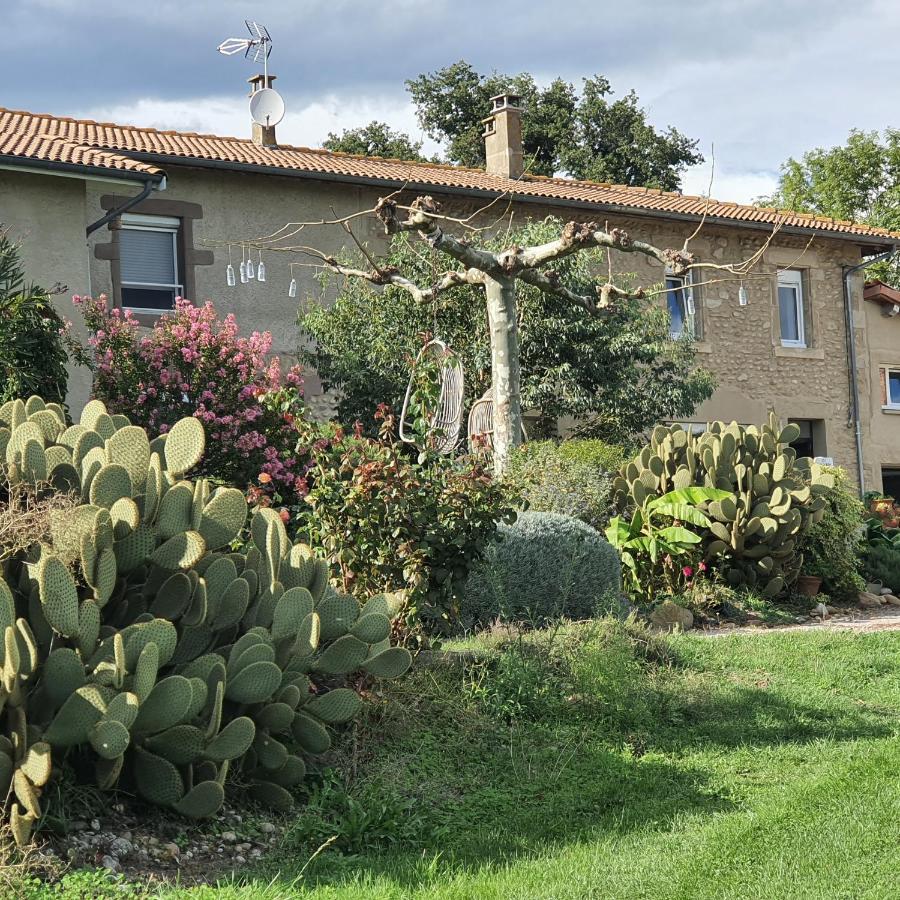 Villa Les Figuets Chateauneuf-de-Galaure Esterno foto