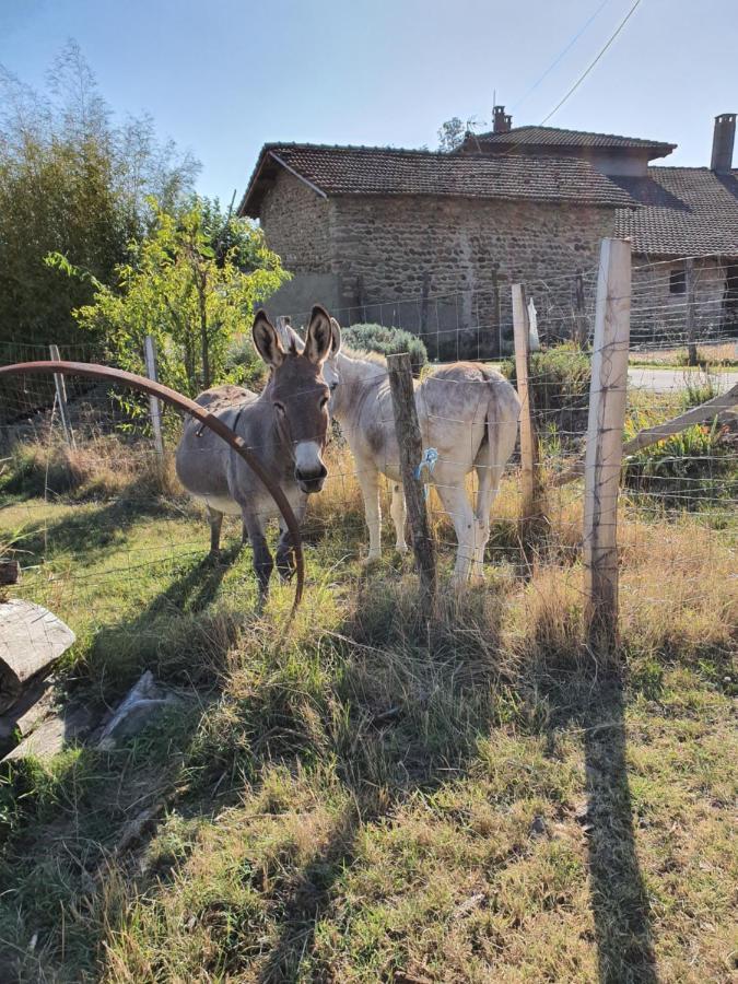 Villa Les Figuets Chateauneuf-de-Galaure Esterno foto