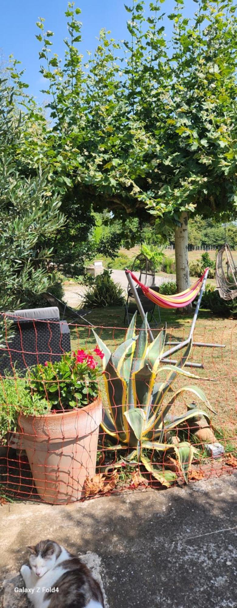 Villa Les Figuets Chateauneuf-de-Galaure Esterno foto