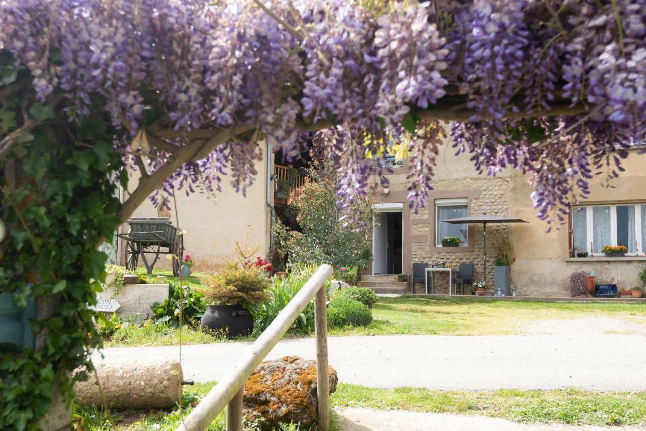 Villa Les Figuets Chateauneuf-de-Galaure Esterno foto